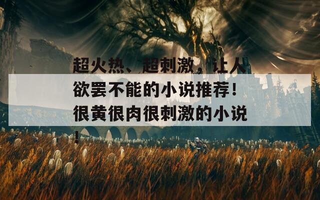 超火热、超刺激，让人欲罢不能的小说推荐！很黄很肉很刺激的小说！