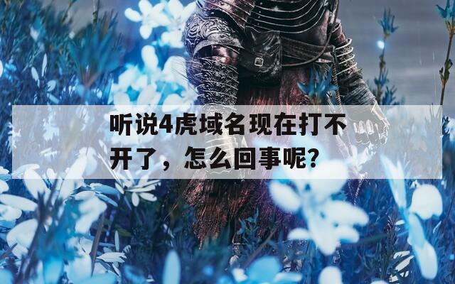 听说4虎域名现在打不开了，怎么回事呢？