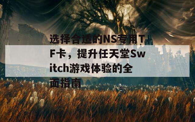 选择合适的NS专用TF卡，提升任天堂Switch游戏体验的全面指南