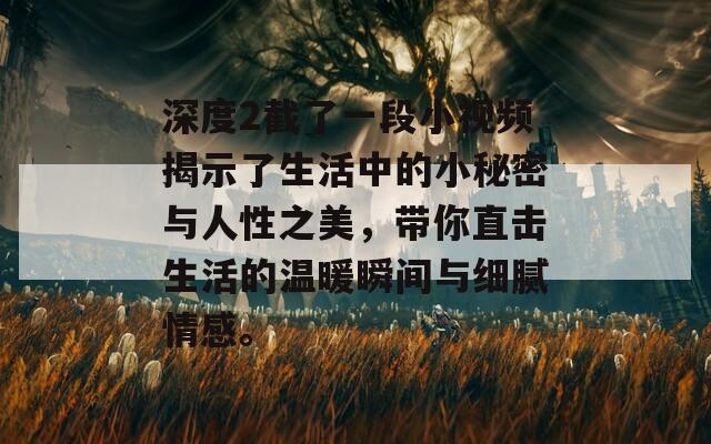 深度2截了一段小视频揭示了生活中的小秘密与人性之美，带你直击生活的温暖瞬间与细腻情感。