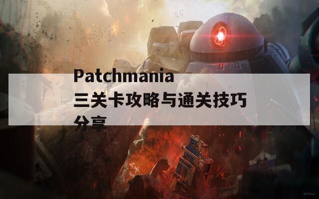 Patchmania三关卡攻略与通关技巧分享