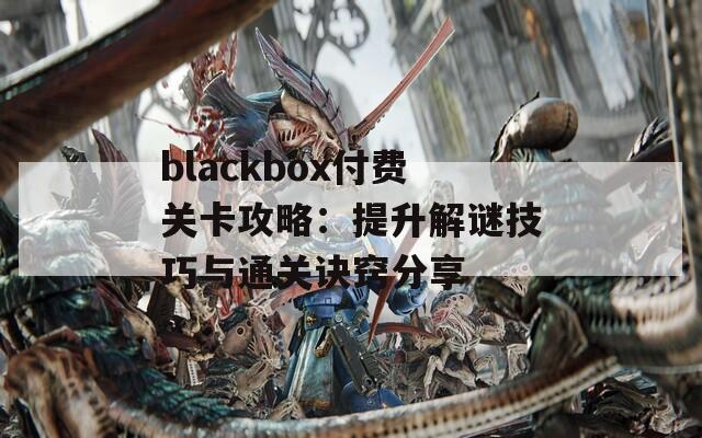 blackbox付费关卡攻略：提升解谜技巧与通关诀窍分享