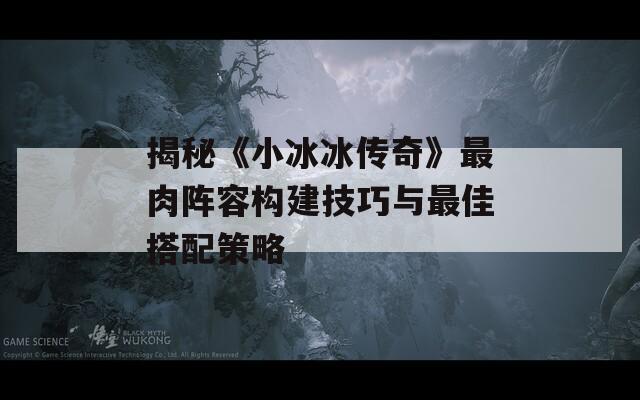 揭秘《小冰冰传奇》最肉阵容构建技巧与最佳搭配策略