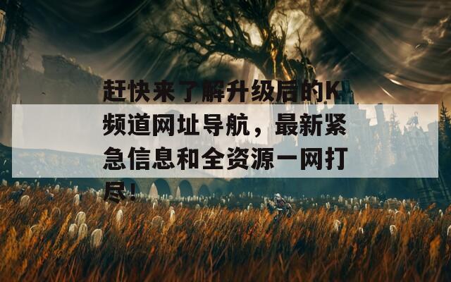 赶快来了解升级后的K频道网址导航，最新紧急信息和全资源一网打尽！