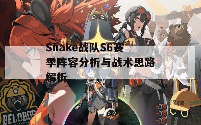 Snake战队S6赛季阵容分析与战术思路解析