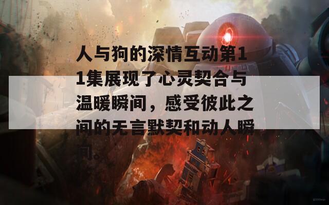 人与狗的深情互动第11集展现了心灵契合与温暖瞬间，感受彼此之间的无言默契和动人瞬间。