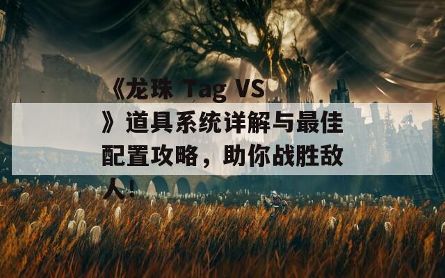 《龙珠 Tag VS》道具系统详解与最佳配置攻略，助你战胜敌人！