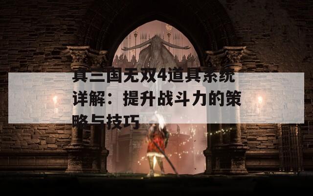 真三国无双4道具系统详解：提升战斗力的策略与技巧