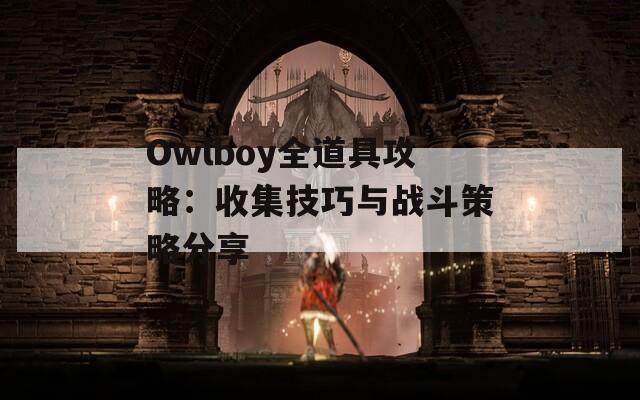 Owlboy全道具攻略：收集技巧与战斗策略分享