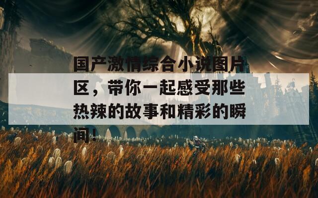 国产激情综合小说图片区，带你一起感受那些热辣的故事和精彩的瞬间！