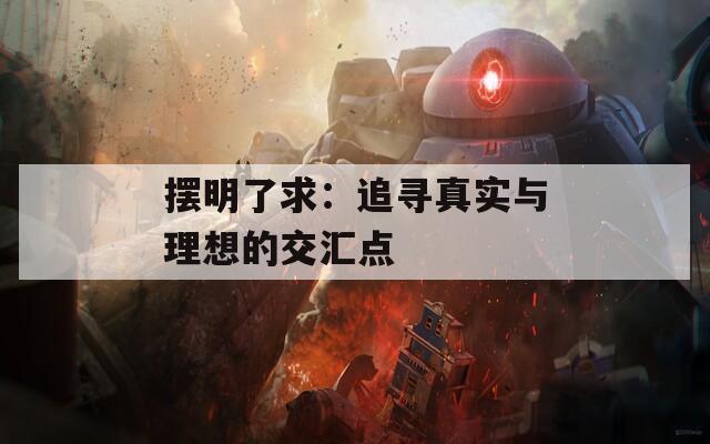 摆明了求：追寻真实与理想的交汇点