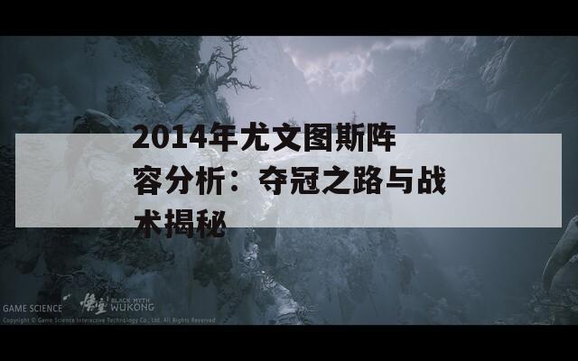 2014年尤文图斯阵容分析：夺冠之路与战术揭秘