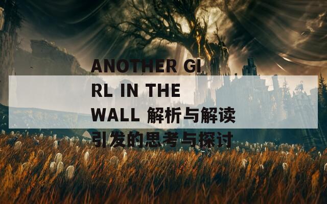 ANOTHER GIRL IN THE WALL 解析与解读引发的思考与探讨