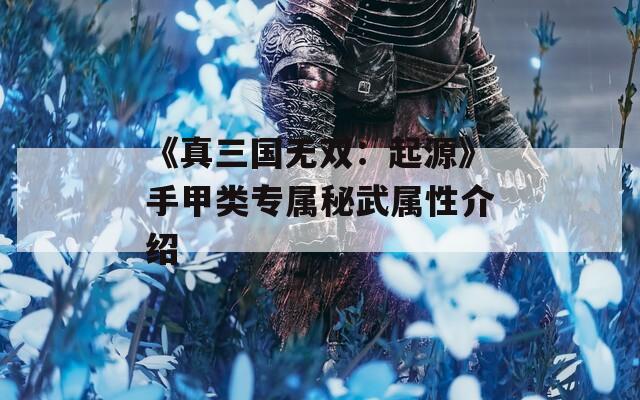 《真三国无双：起源》手甲类专属秘武属性介绍