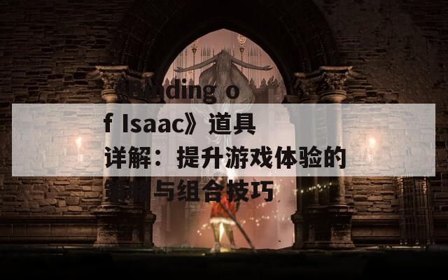 《Binding of Isaac》道具详解：提升游戏体验的策略与组合技巧