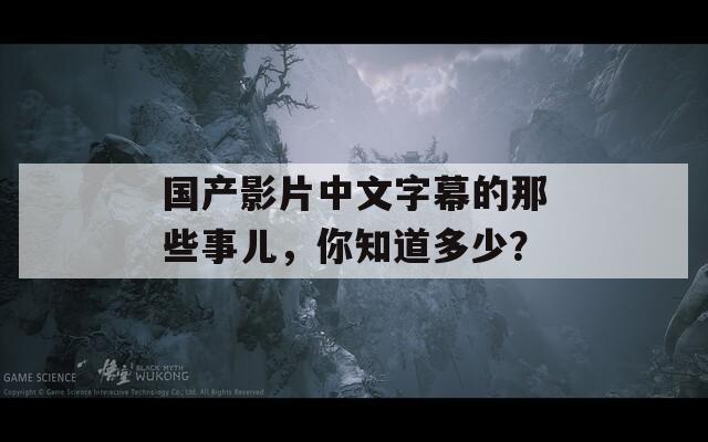 国产影片中文字幕的那些事儿，你知道多少？