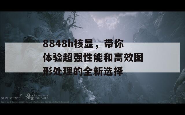 8848h核显，带你体验超强性能和高效图形处理的全新选择