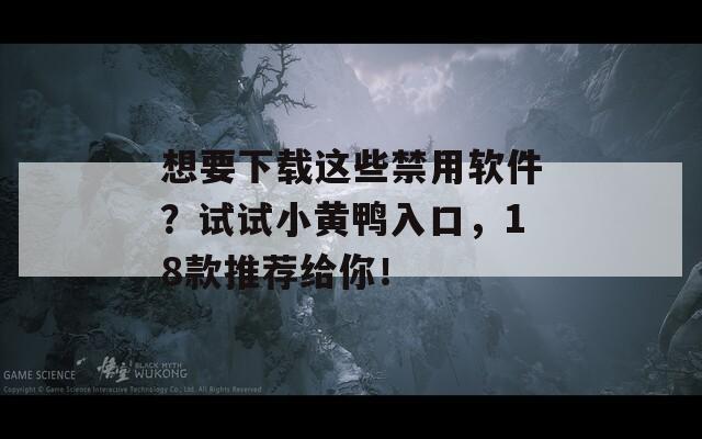 想要下载这些禁用软件？试试小黄鸭入口，18款推荐给你！