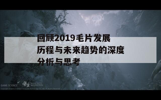 回顾2019毛片发展历程与未来趋势的深度分析与思考