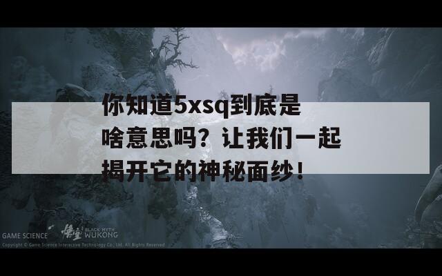 你知道5xsq到底是啥意思吗？让我们一起揭开它的神秘面纱！