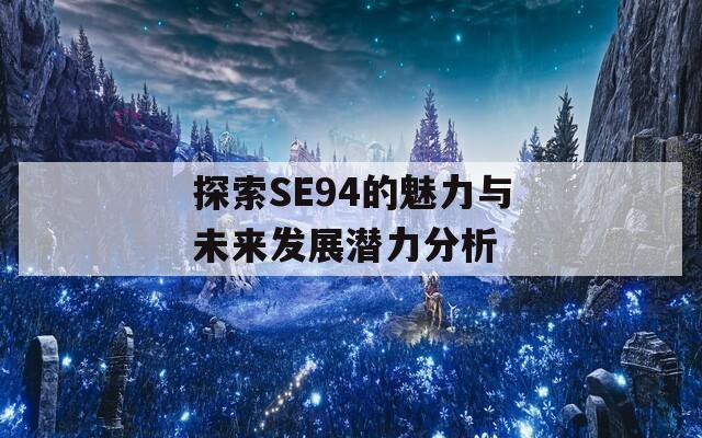 探索SE94的魅力与未来发展潜力分析