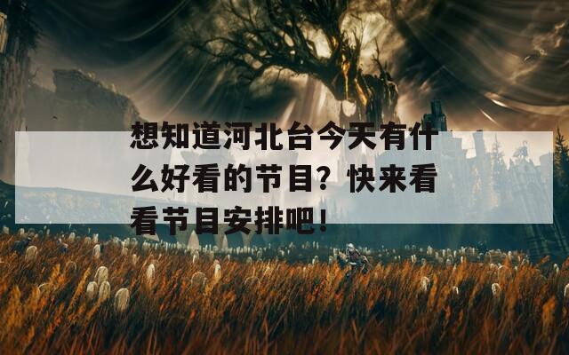 想知道河北台今天有什么好看的节目？快来看看节目安排吧！