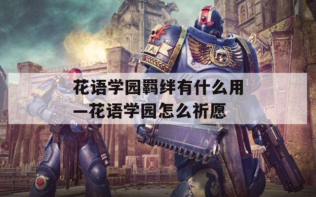花语学园羁绊有什么用—花语学园怎么祈愿