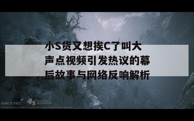 小S货又想挨C了叫大声点视频引发热议的幕后故事与网络反响解析