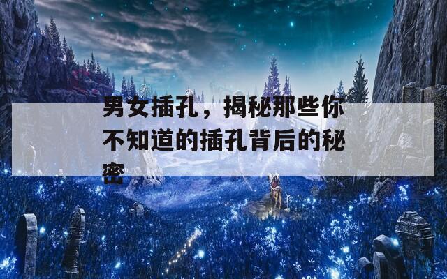男女插孔，揭秘那些你不知道的插孔背后的秘密