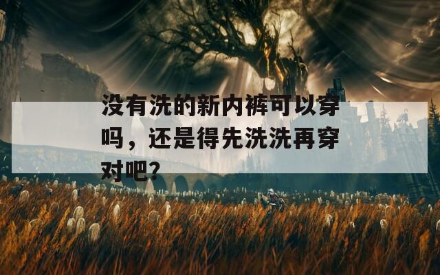 没有洗的新内裤可以穿吗，还是得先洗洗再穿对吧？