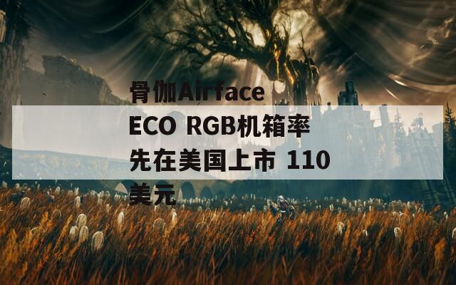 骨伽Airface ECO RGB机箱率先在美国上市 110美元