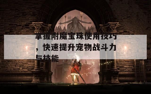 掌握附魔宝珠使用技巧，快速提升宠物战斗力与技能